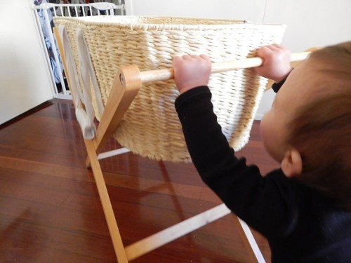 Bassinet Walking1
