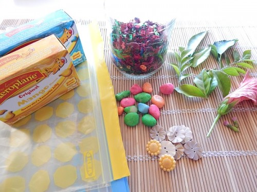 Senosory Bag1