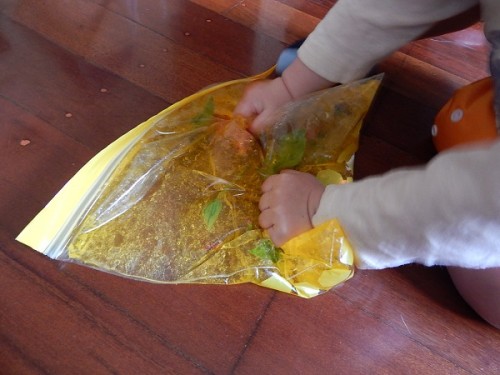 Senosory Bag7