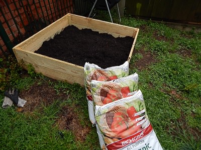 Veggie Garden Preparation13