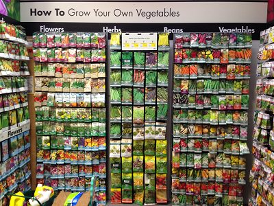 Veggie Garden Preparation7