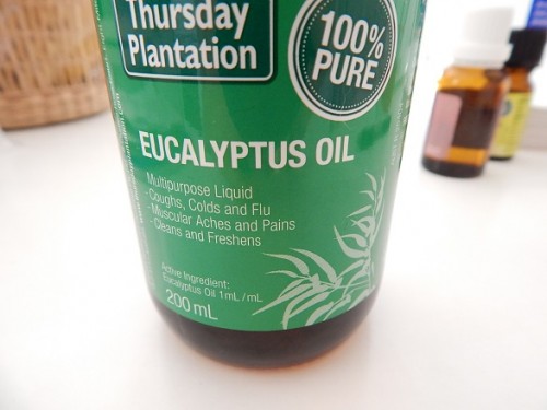 Eucalyptus