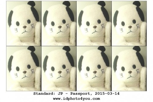 DIY Passport Photo