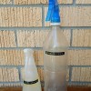家庭菜園の虫除けは無農薬！酢を活用！害虫駆除スプレーの作り方