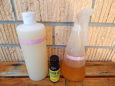 Apple Cider Vinegar Dog Flea Treatment1