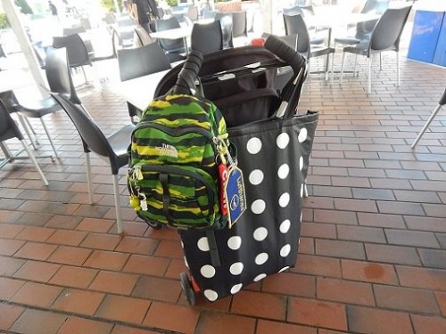 DIY Reusable Cooler Bag11
