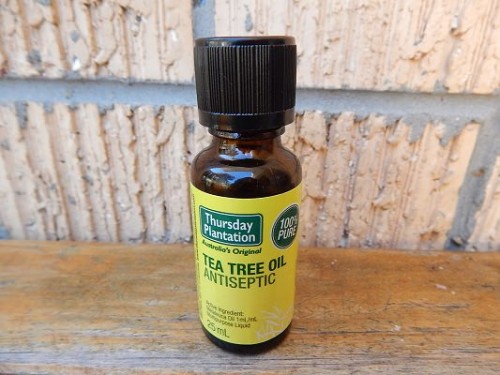 Tea Tree Oil1