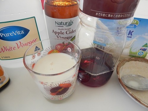 Homemade Yogurt Drink5
