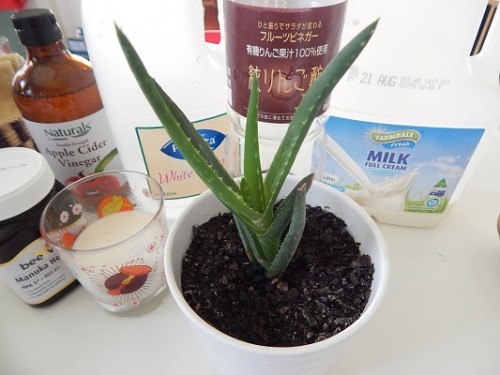 Homemade Yogurt Drink6