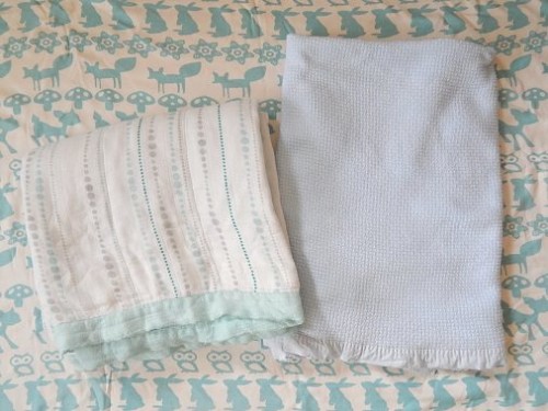Aden and Anais Blanket5