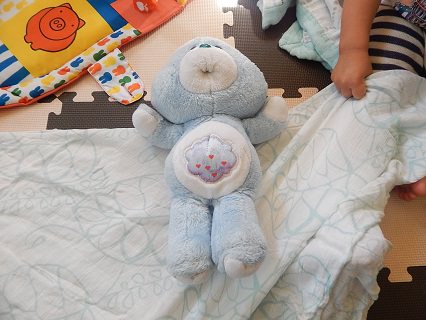 Aden and Anais Muslin Wraps3