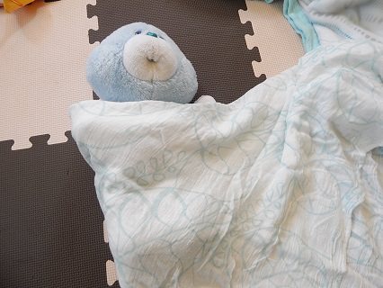 Aden and Anais Muslin Wraps4