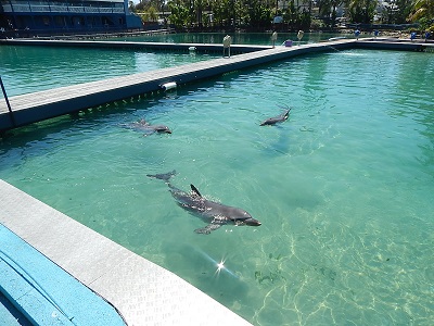 Sea World Gold Coast10-1