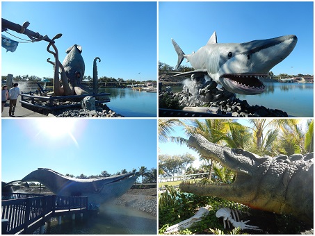 Sea World Gold Coast6-1