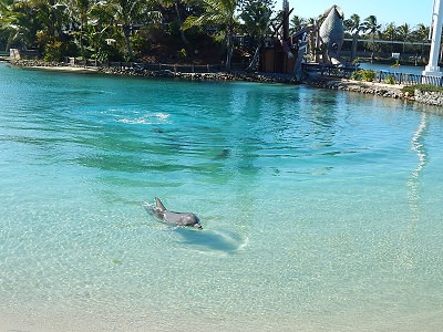 Sea World Gold Coast9-1