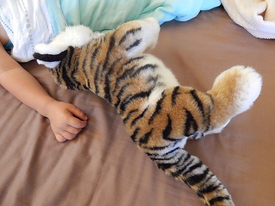Twin Baby Tigers at Dreamworld18