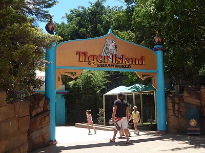 Twin Baby Tigers at Dreamworld2