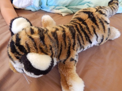 Twin Baby Tigers at Dreamworld20