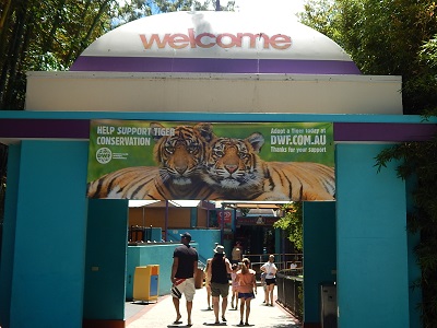Tiger Cub at Dreamworld4