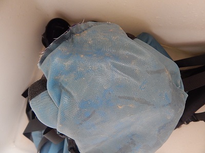 Wash And Clean A Backpack15
