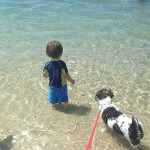 赤ちゃんだって腹筋運動する！鍛えるぞ！息子の筋トレ