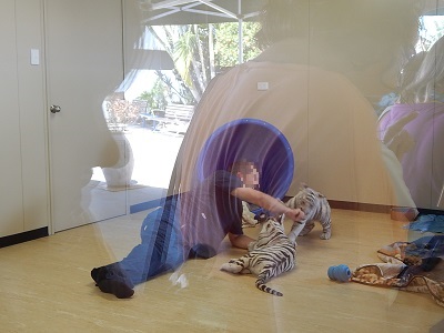 White Tiger Cubs6