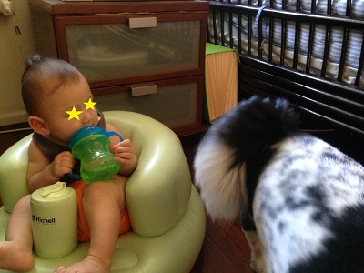 Richell Inflatable Baby Chair12