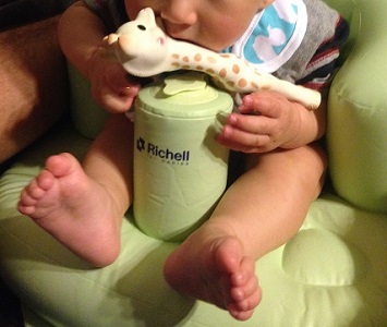 Sophie The Giraffe2