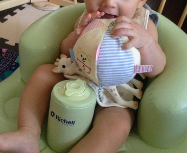 Sophie The Giraffe4