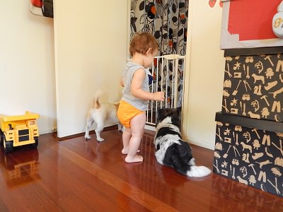 Toilet Training4