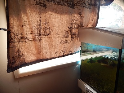 Homemade Curtains18