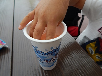 Disney Food13