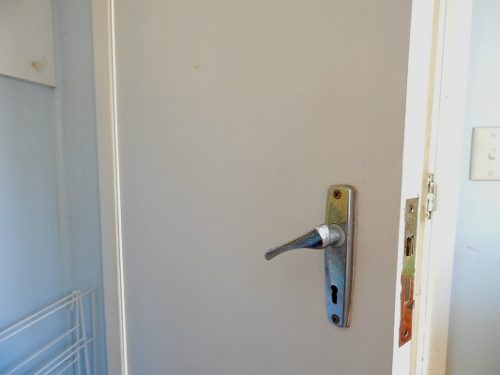 Painting Old Doors2
