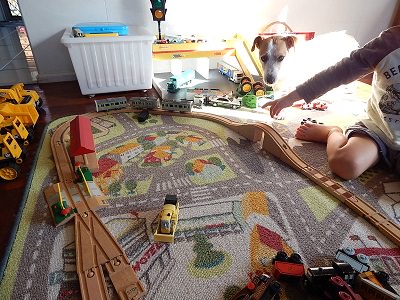 Plarail With IKEA BRIO Wooden Rails15