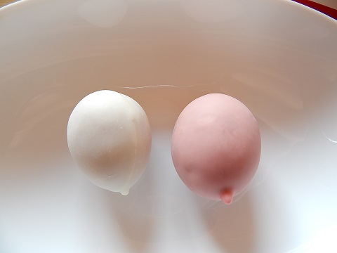 kamomeno-tamago-ringo4