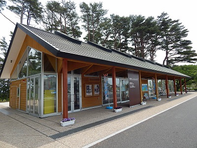 iwate-ofunato-goishi-kaigan1