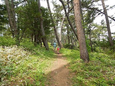 iwate-ofunato-goishi-kaigan10