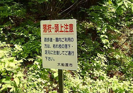 iwate-ofunato-goishi-kaigan16