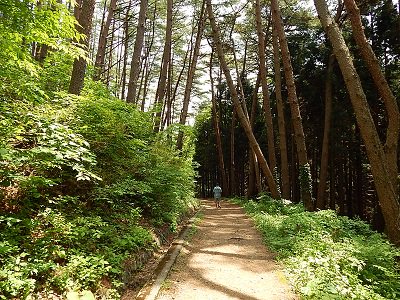 iwate-ofunato-goishi-kaigan17