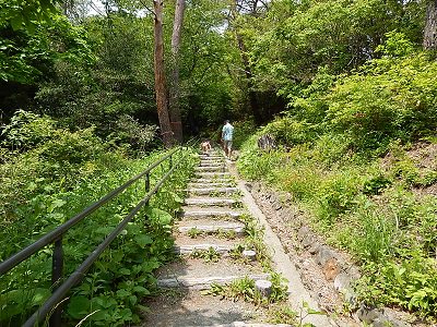 iwate-ofunato-goishi-kaigan24