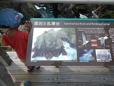 iwate-ofunato-goishi-kaigan28
