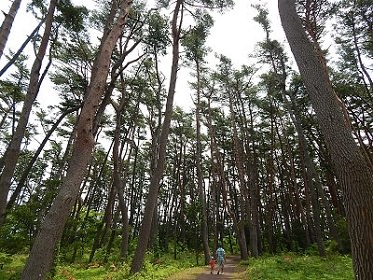 iwate-ofunato-goishi-kaigan3