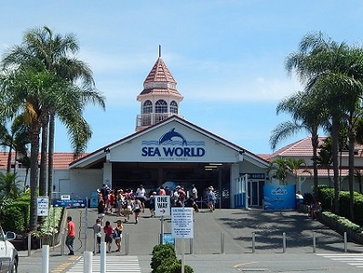 Sea World Gold Coast1-1